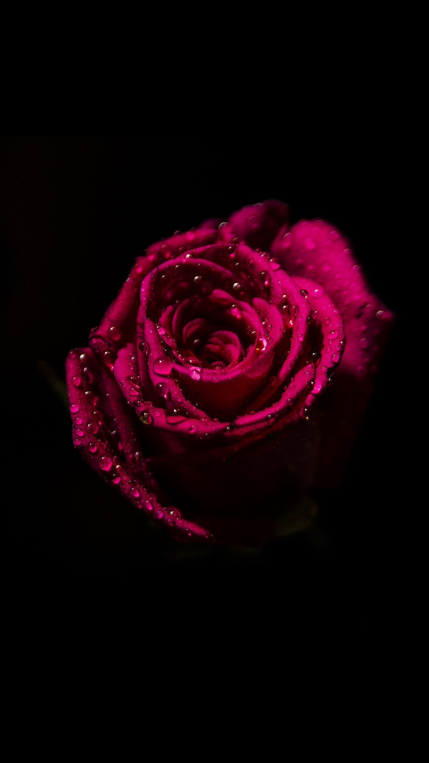 1440x2560 Black Amoled Wallpaper HD