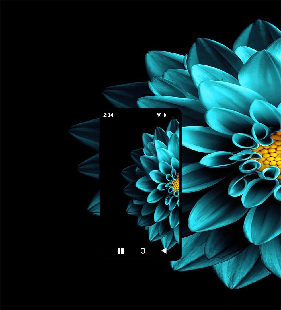 Download Blue Flower 8k Ultra Hd Amoled Wallpaper