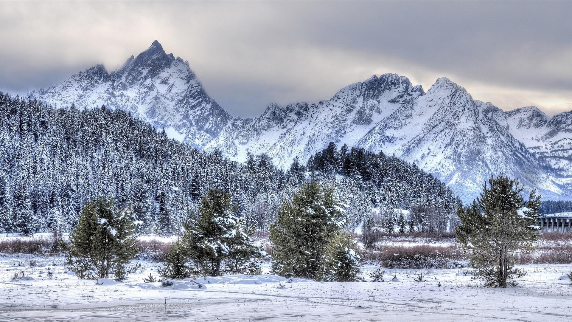 1920x1080 Wallpaper Winter, Snow, Trees, Mountains, Nature Scenery In November