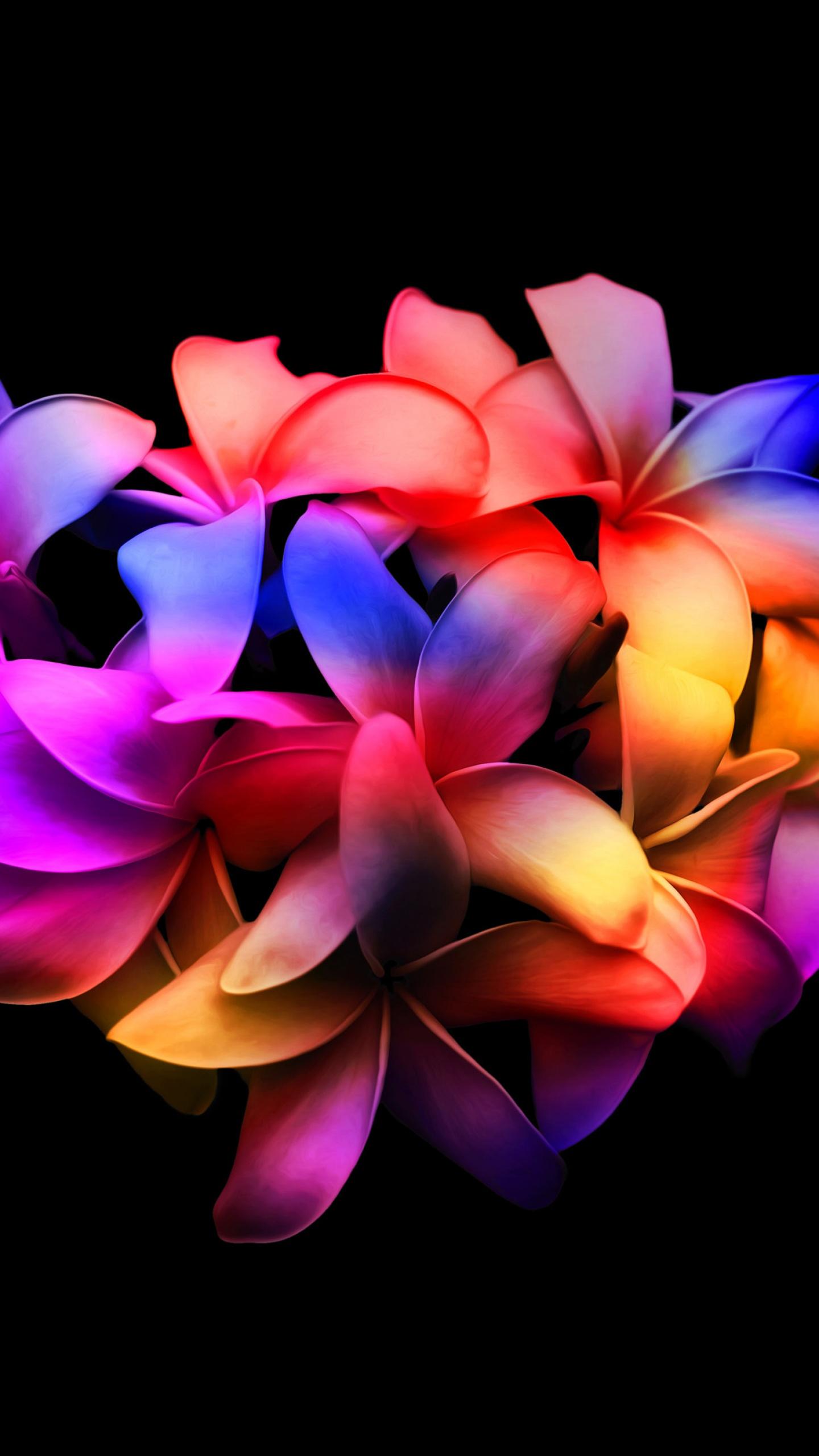 AMOLED Flower Wallpapers Top Free AMOLED Flower Backgrounds