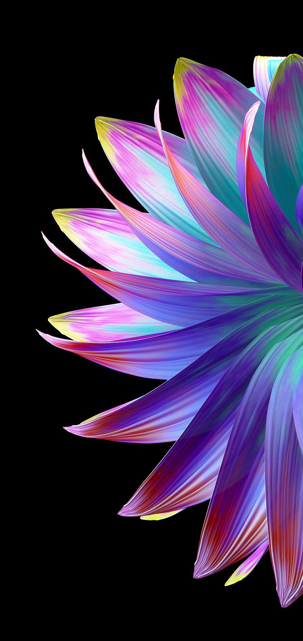 AMOLED Flower Wallpapers - Top Free AMOLED Flower Backgrounds ...