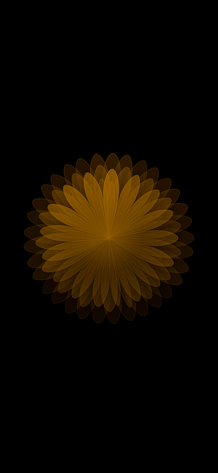 739x1600 Roman's Apple: iPhone X AMOLED coloured flower wallpaper black