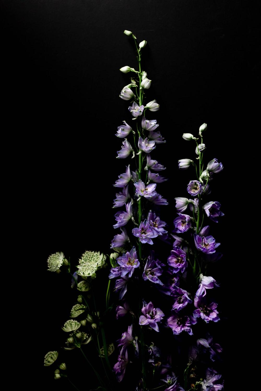 1000x1500 Super Amoled Picture. Download Free Image
