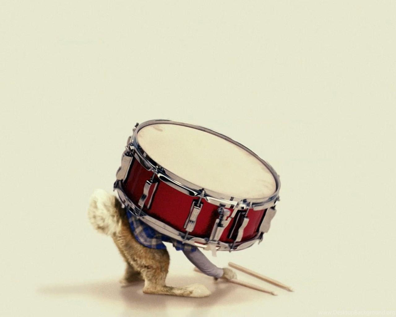 1280x1024 Easter Bunny Carries A Snare Drum In Movie Hop Desktop Wallpaper Desktop Background
