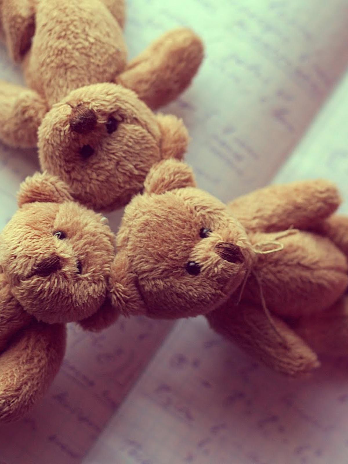 teddy wallpapers for mobile phones