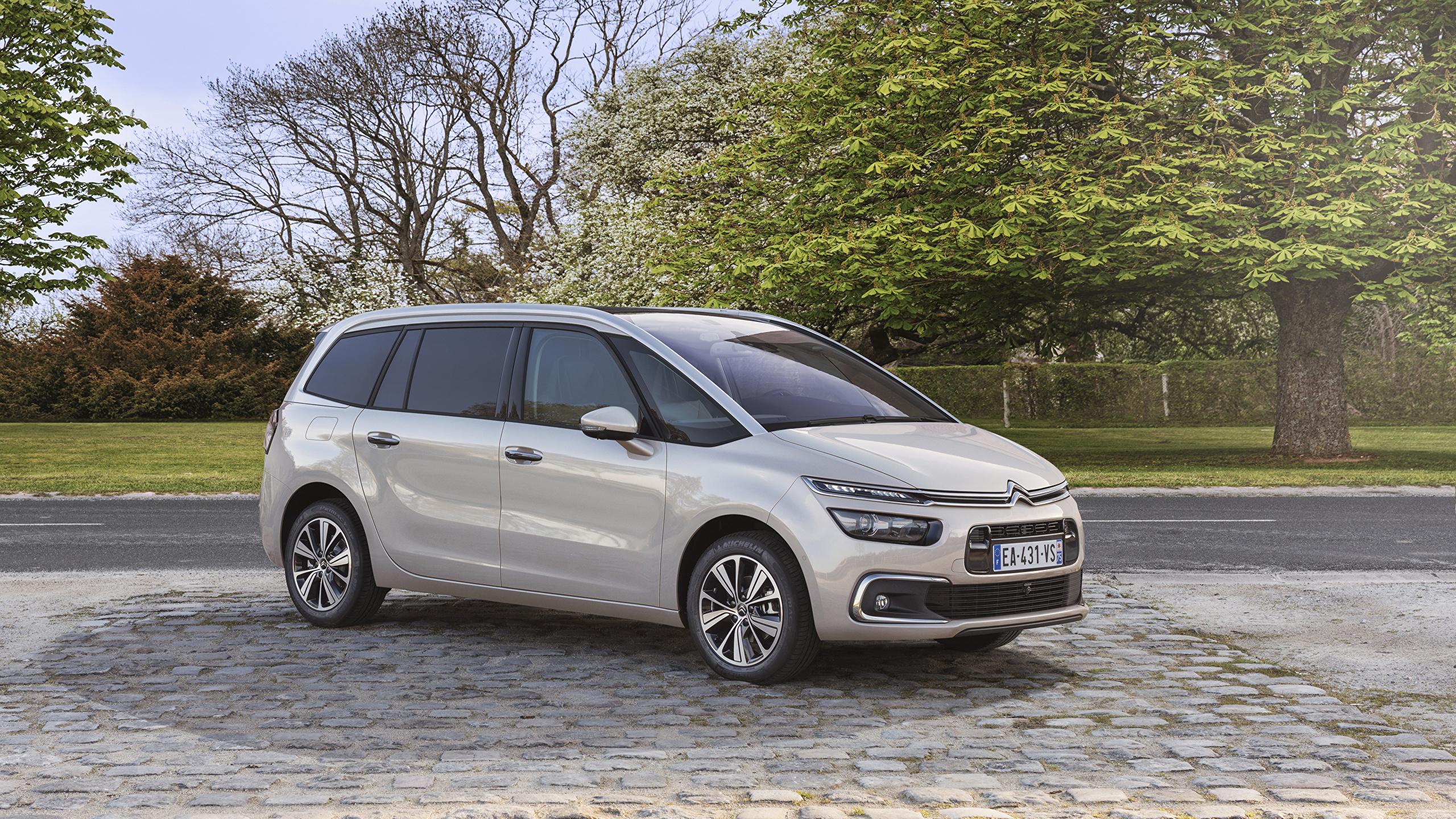 2560x1440 image Citroen 2016 Grand C4 Picasso White auto Metallic 2560x1440