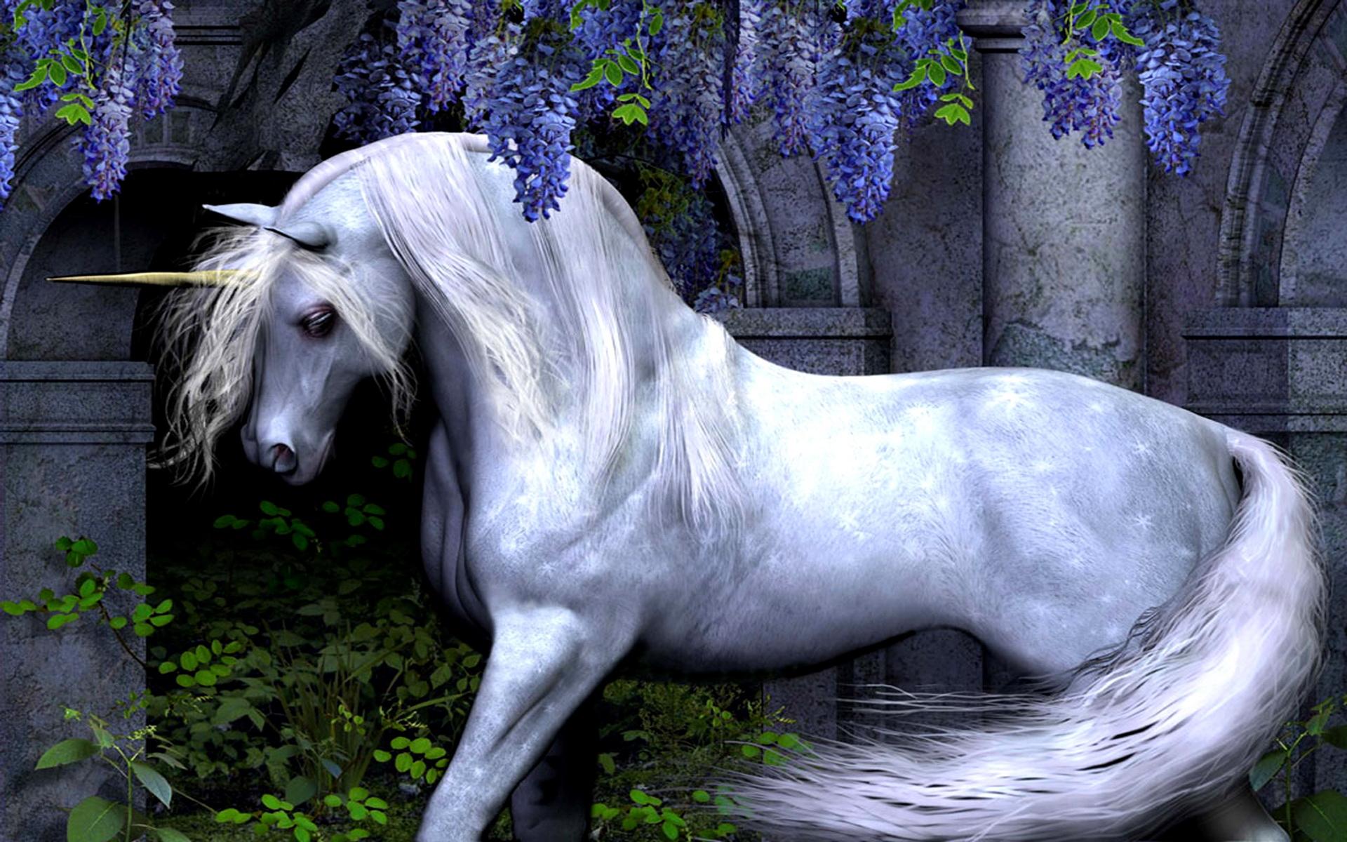 1920x1200 Beautiful Unicorn White Horse