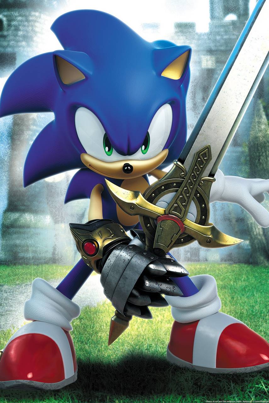 855x1280 Crop 1 Wallpaper Sonic The Hedgehog HD Wallpaper