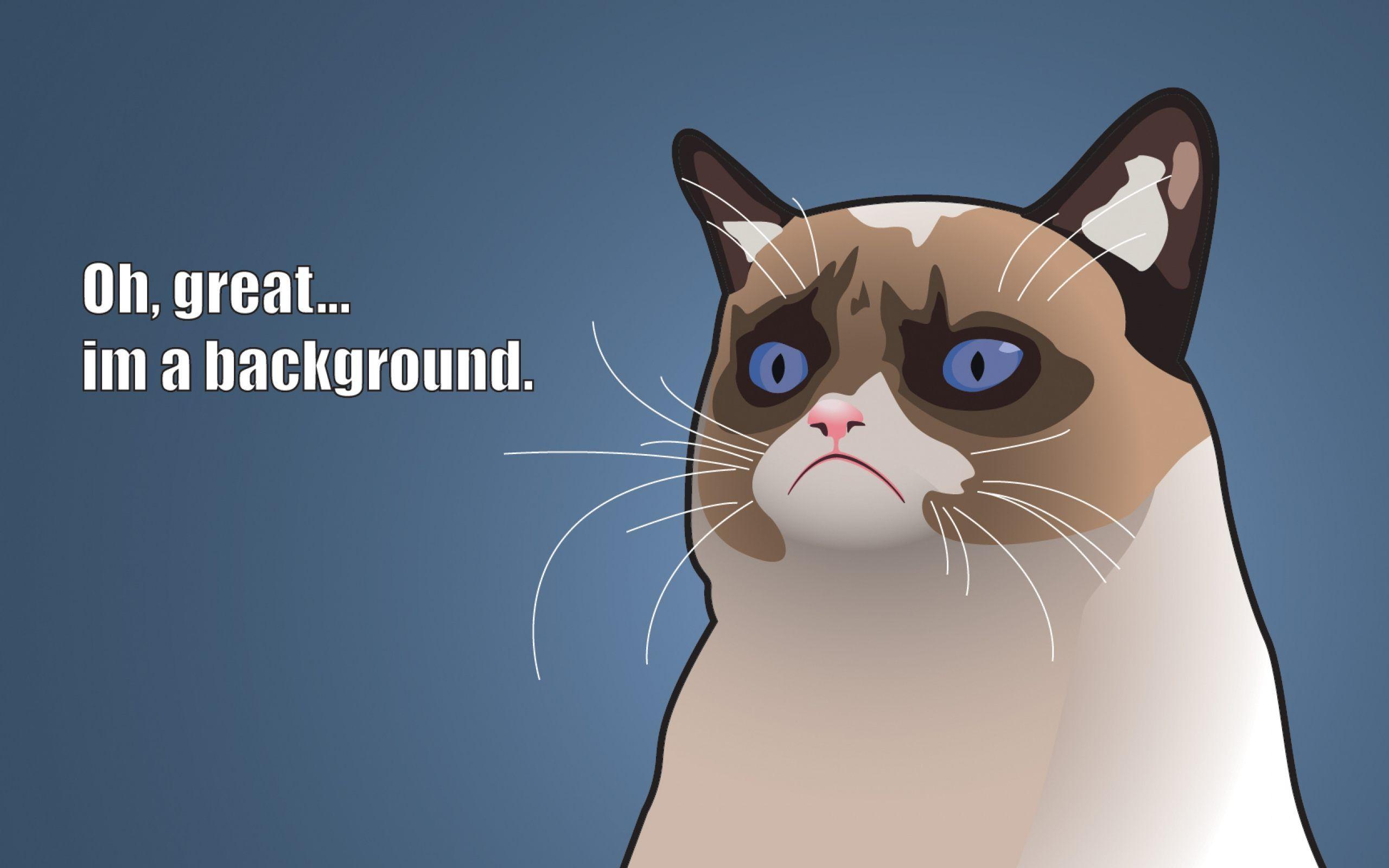 2560x1600 Funy Cute iPad Wallpaper