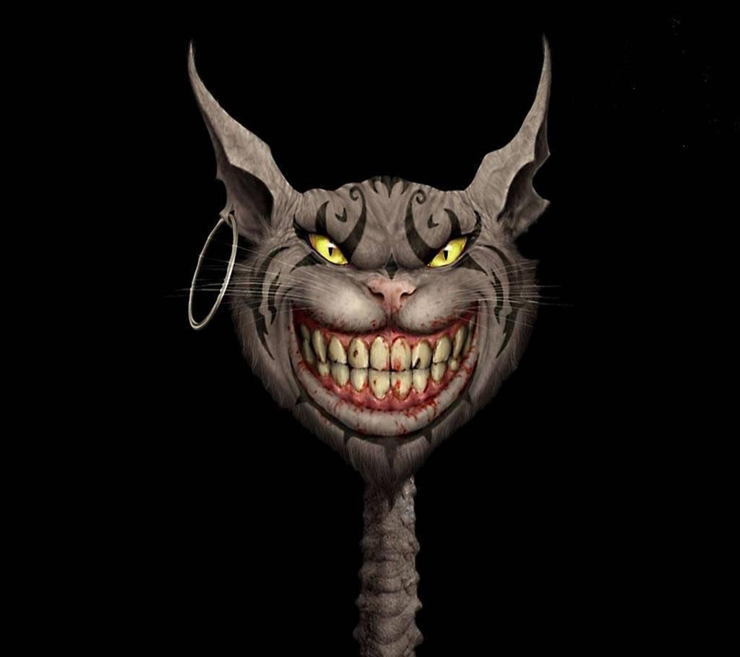 1440x1280 Weird Cat Wallpaper