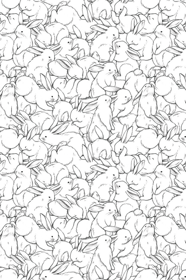 735x1102 How cute is this Hundred Bunnies wallpaper design from the new Lilipinso kids collection. Rabbit wallpaper, Bunny wallpaper, Black and white wallpaper
