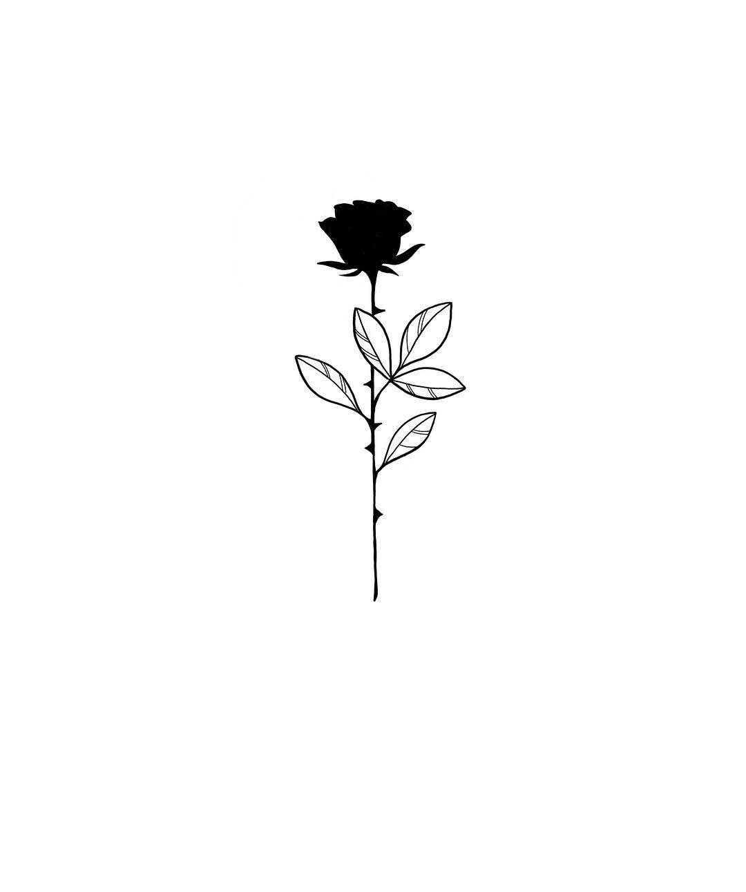 Rose Black And White Clipart Images For Free Download  Pngtree