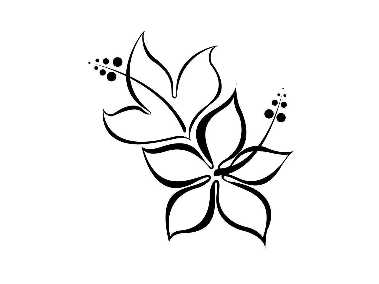 Single Flower Drawing Wallpapers Top Free Single Flower Drawing