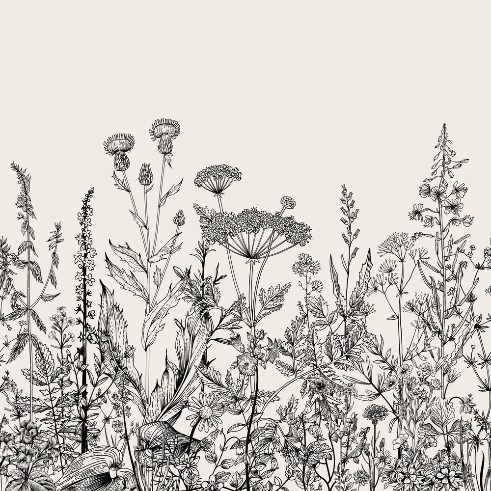 1000x1000 Black and White Floral Garden Plants Drawing Removable Wallpaper