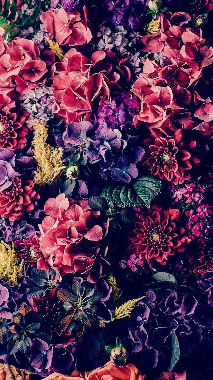736x1308 Adidas Floral Wallpaper