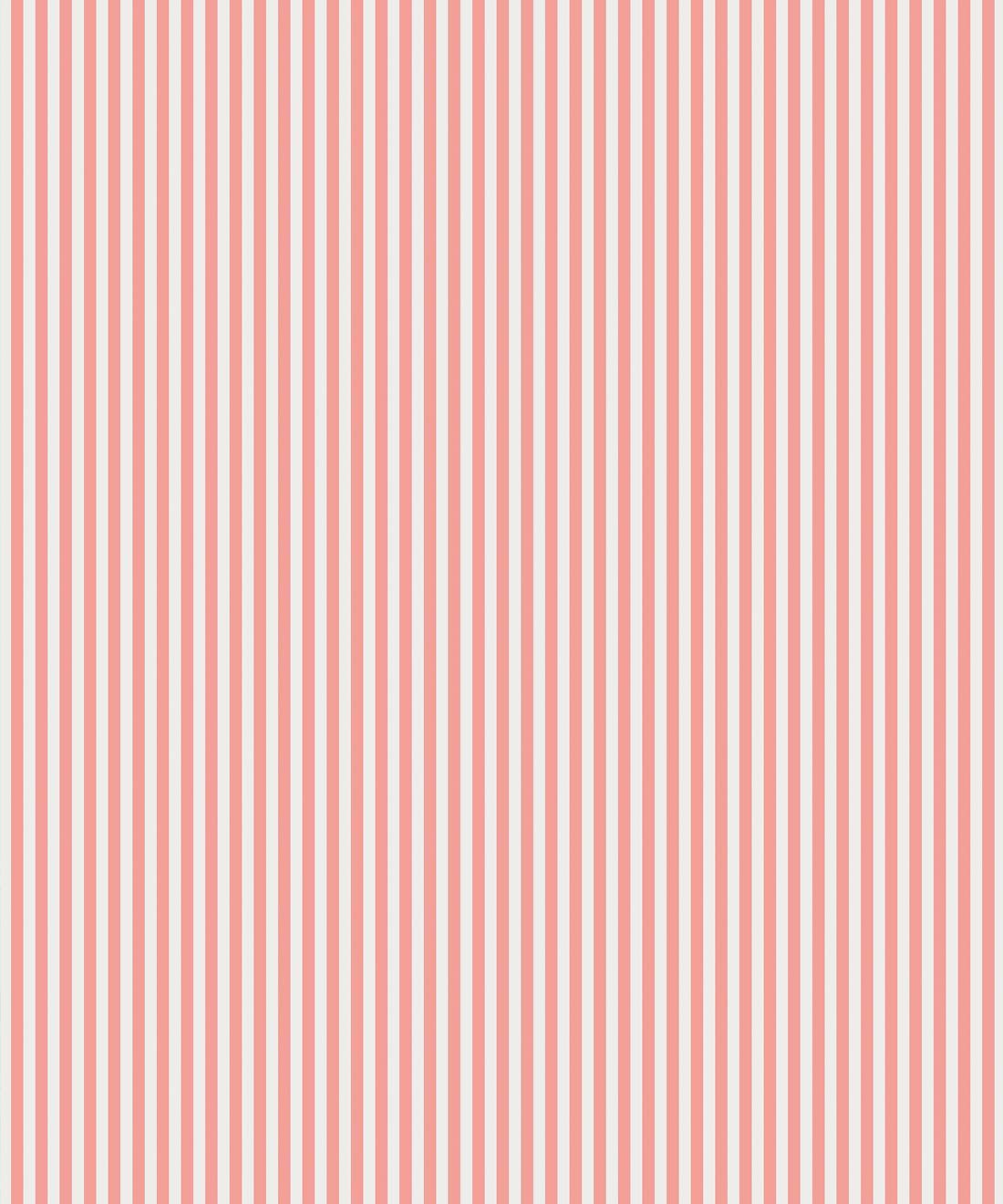 1100x1320 Candy Stripe Wallpaper • Classic Stipe Design AUS
