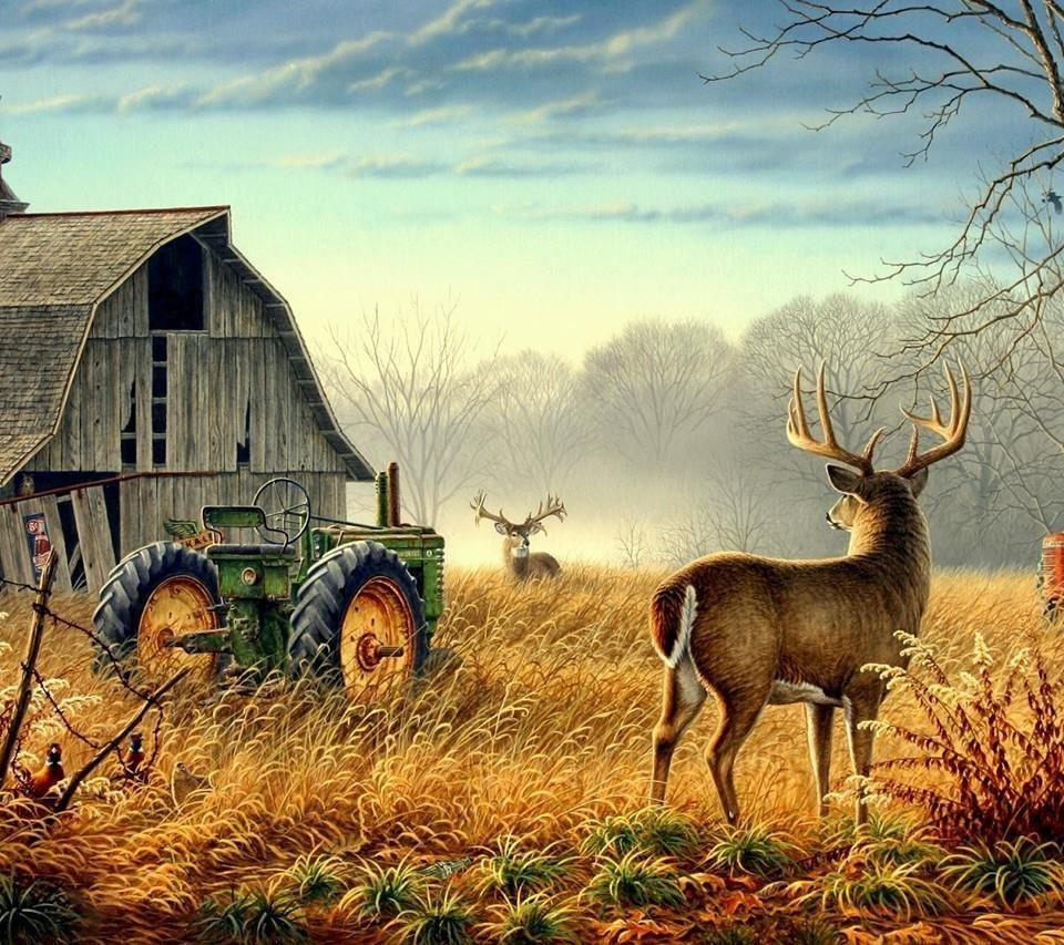 960x853 Whitetail Bucks #whitetaildeerfarming. Deer wallpaper, Deer picture, Wildlife art