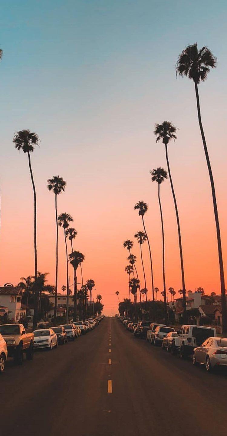 750x1441 Aesthetic Summer Wallpaper