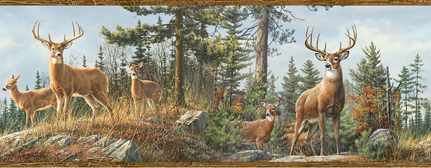 1500x587 Chesapeake HTM48463B Fern Purple Whitetail Portrait Wallpaper Border