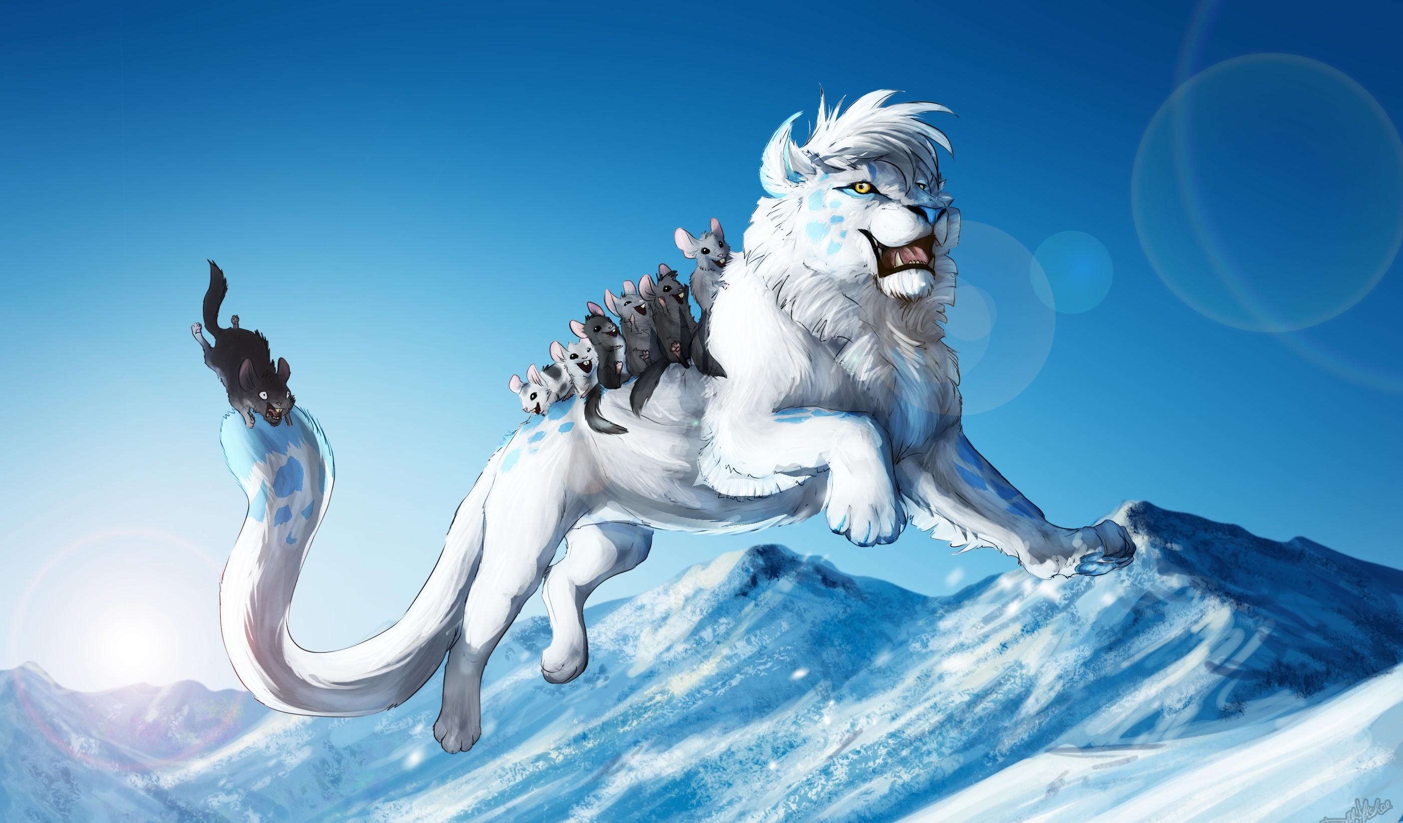 2800x1643 white lion HD wallpaper, background