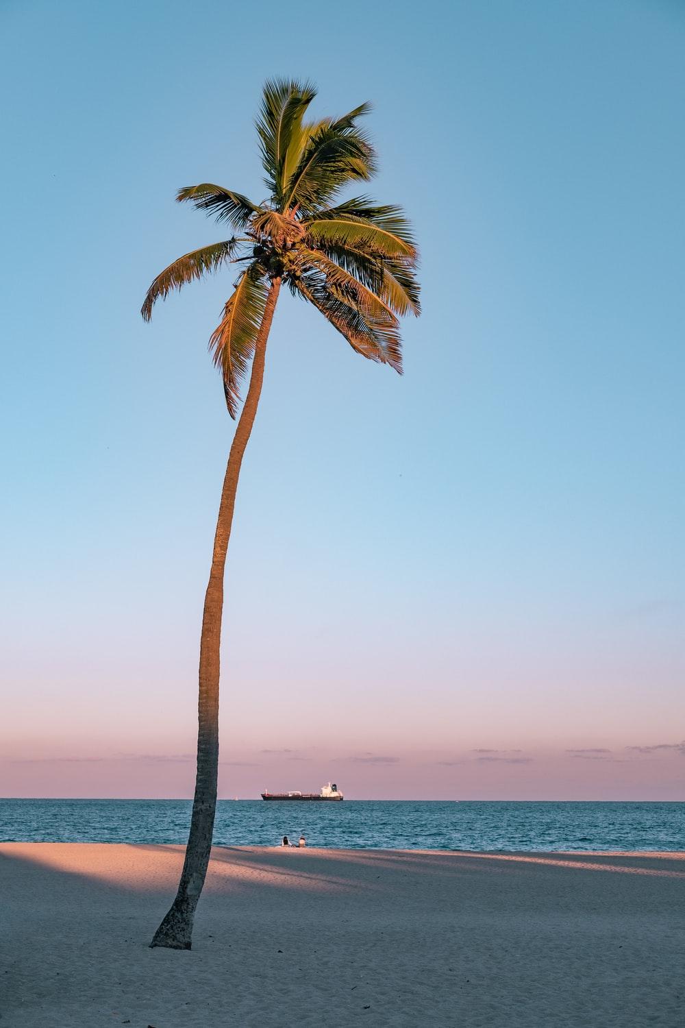 1000x1500 Fort Lauderdale Beach Picture. Download Free Image
