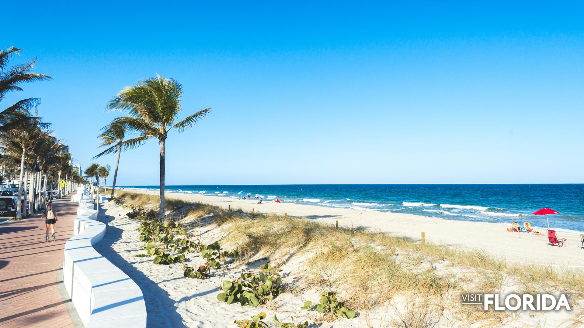 1920x1080 Florida Zoom Background