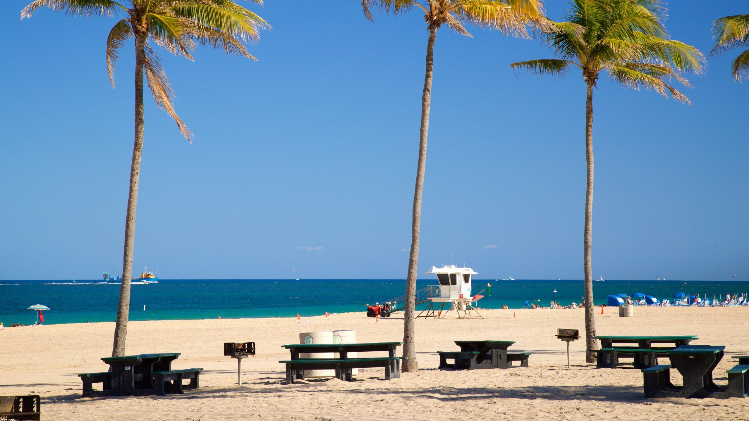 2560x1440 Fort Lauderdale Beach Park, Fort Lauderdale Vacation Rentals: hotel rentals & more