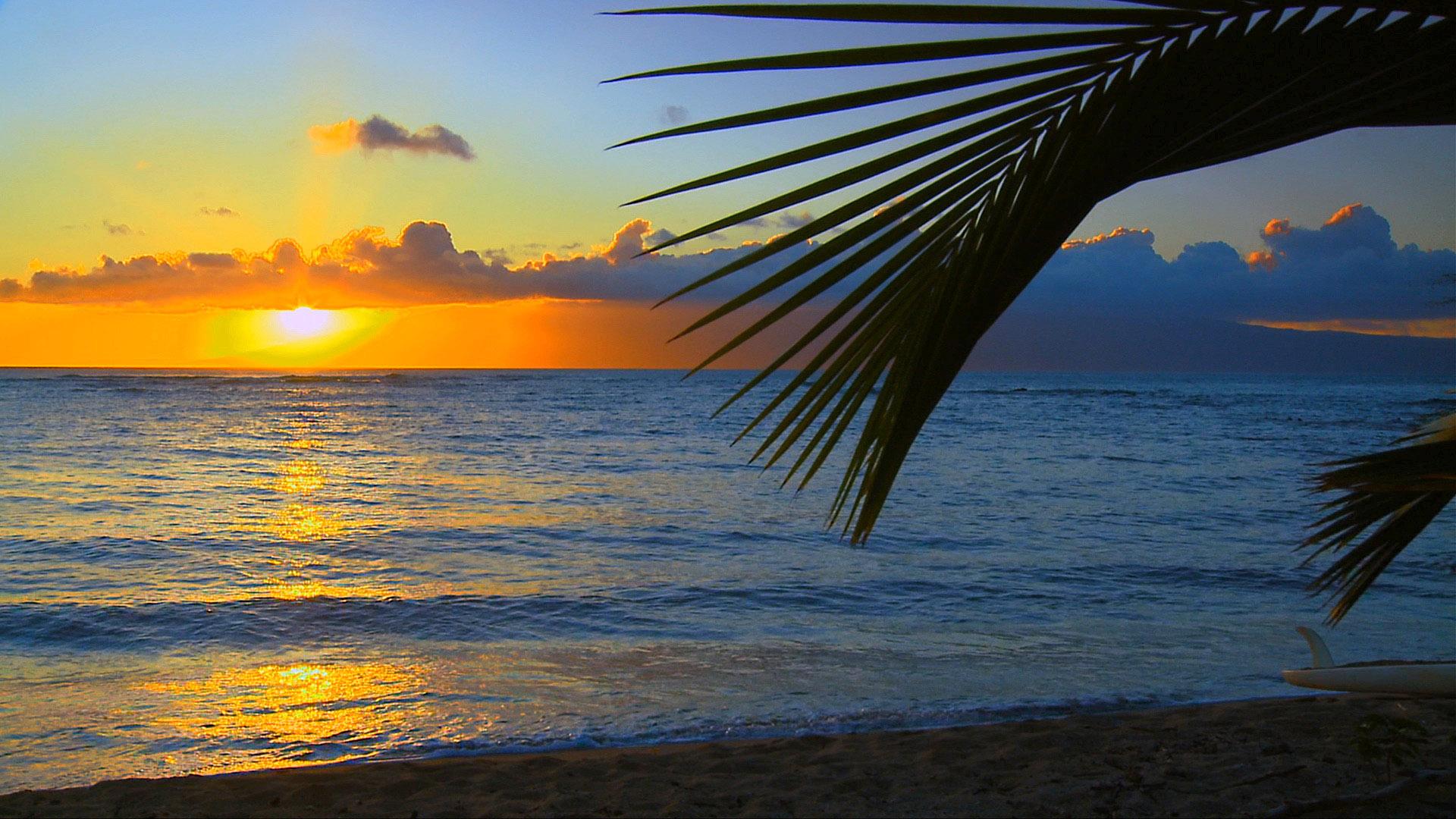 1920x1080 Free Download Sunset Beaches Background