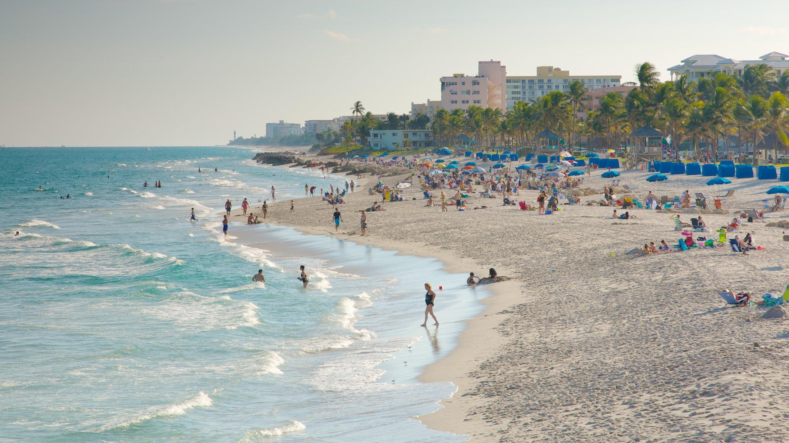 2560x1440 Visit Deerfield Beach: 2021 Travel Guide for Deerfield Beach, Fort Lauderdale