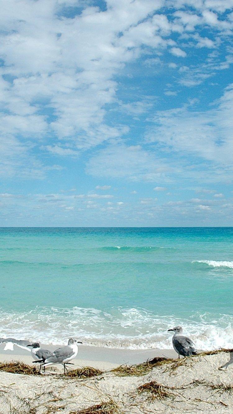 750x1334 Florida Beach iPhone Wallpaper, HD Florida Beach iPhone Background