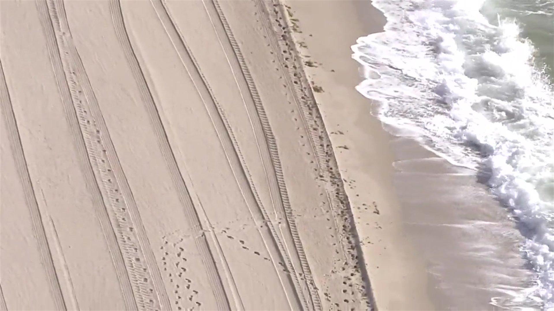 1920x1080 Potential Palm Oil Spill on Fort Lauderdale Beach