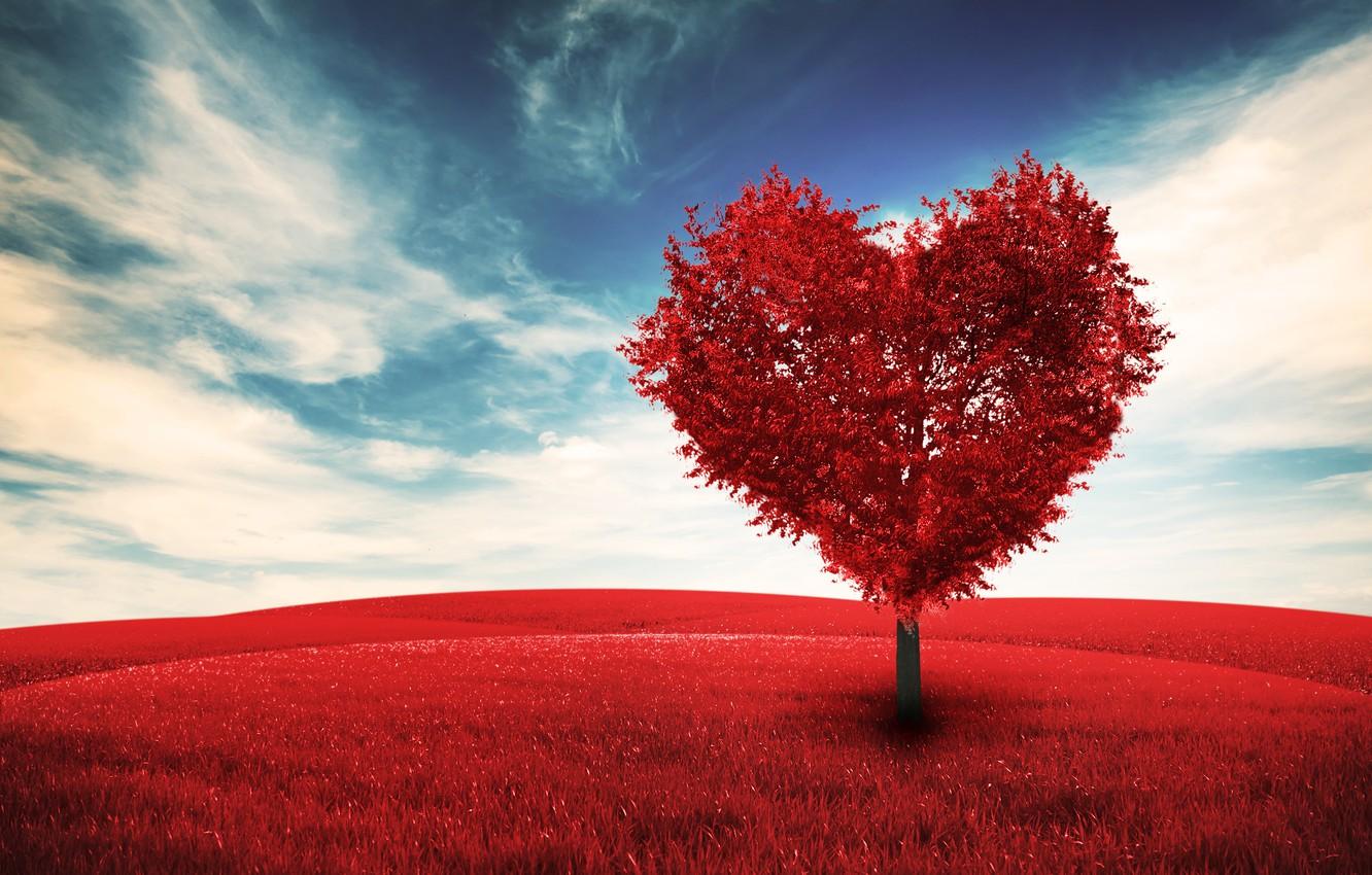 1332x850 Wallpaper field, the sky, clouds, love, tree, romance, heart, love, Valentine's day, sky, field, heart, clouds, tree, Valentine's Day, romance image for desktop, section настроения