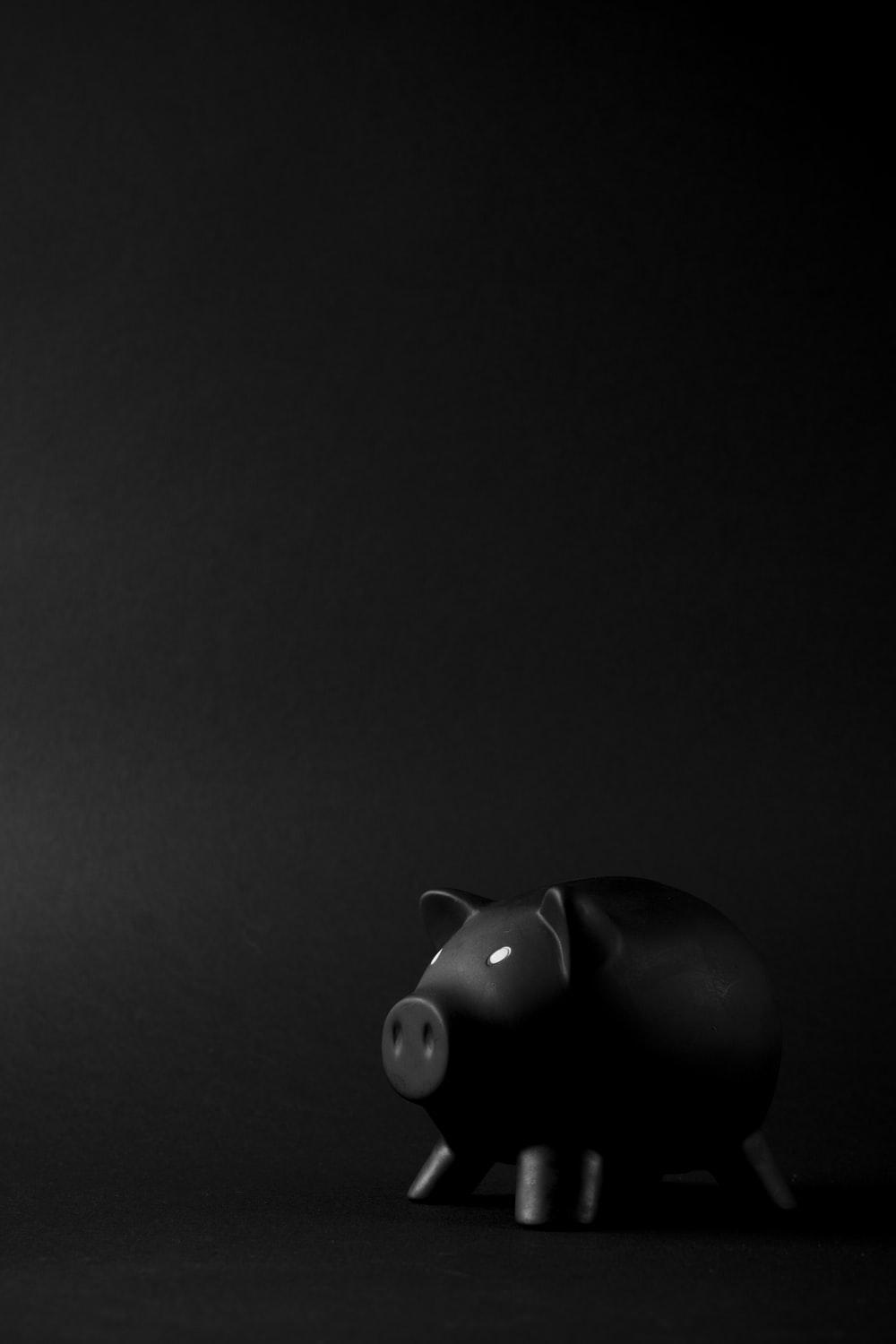 1000x1500 Black Pig Picture. Download Free Image