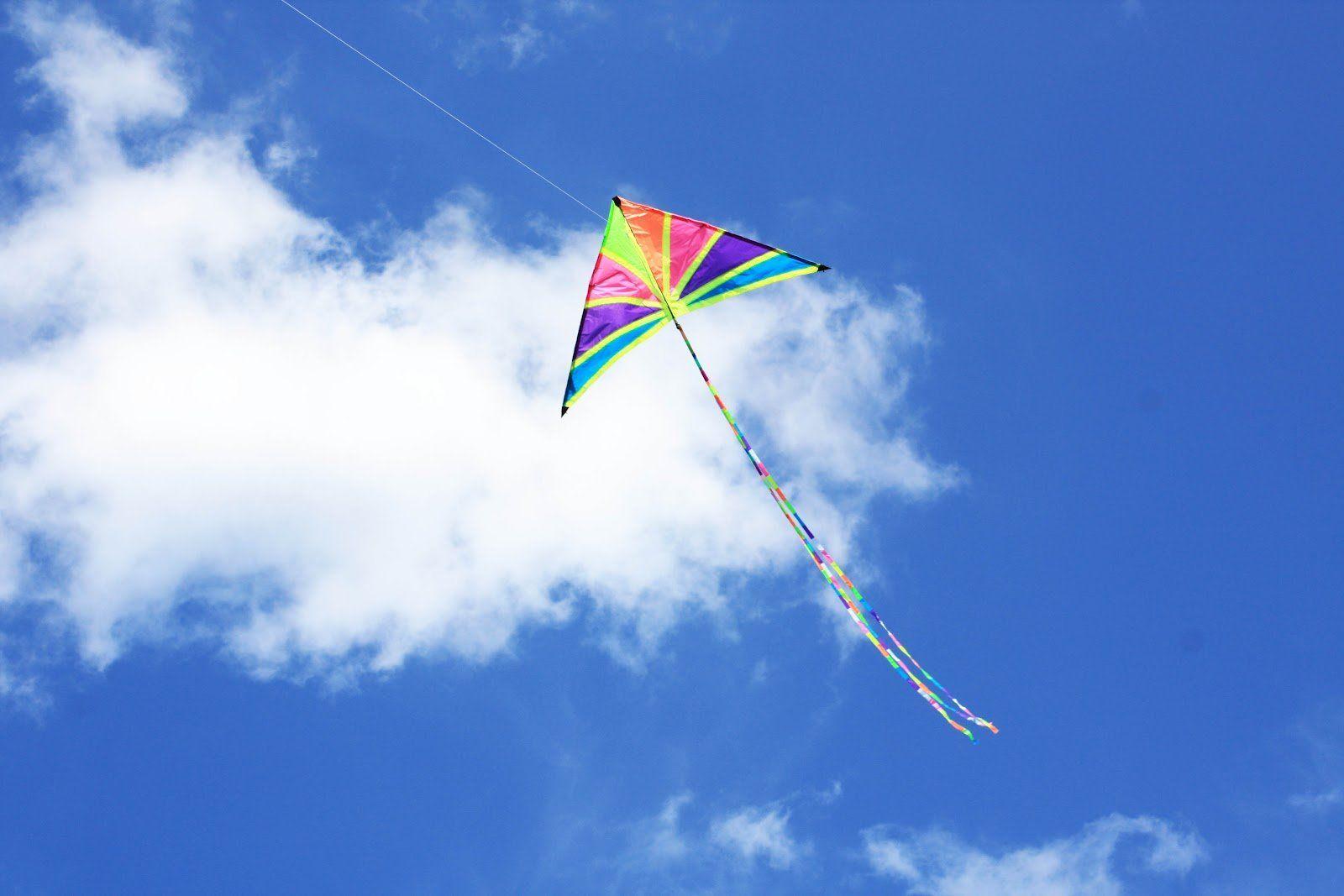 1600x1067 Summer Flying Wallpaper