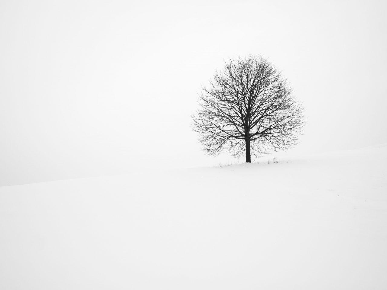 1280x960 Minimalist Winter Wallpaper Definition, High Resolution HD Wallpaper : High Definition, High Resolution HD Wallpaper