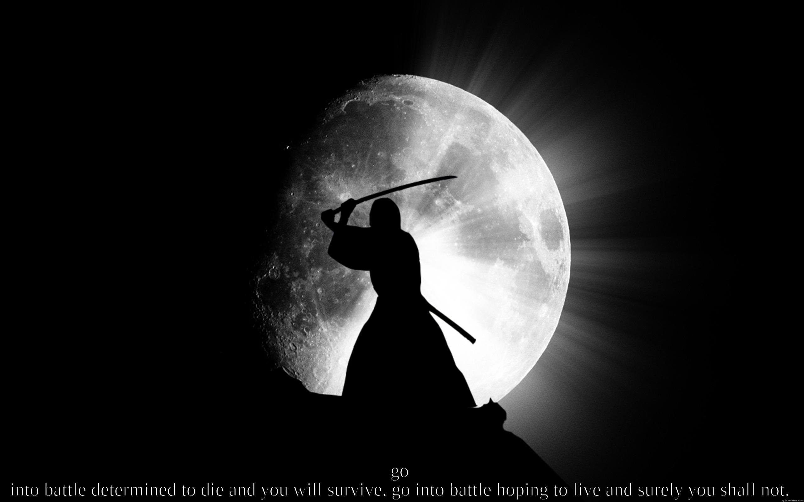 2560x1600 shadow samurai