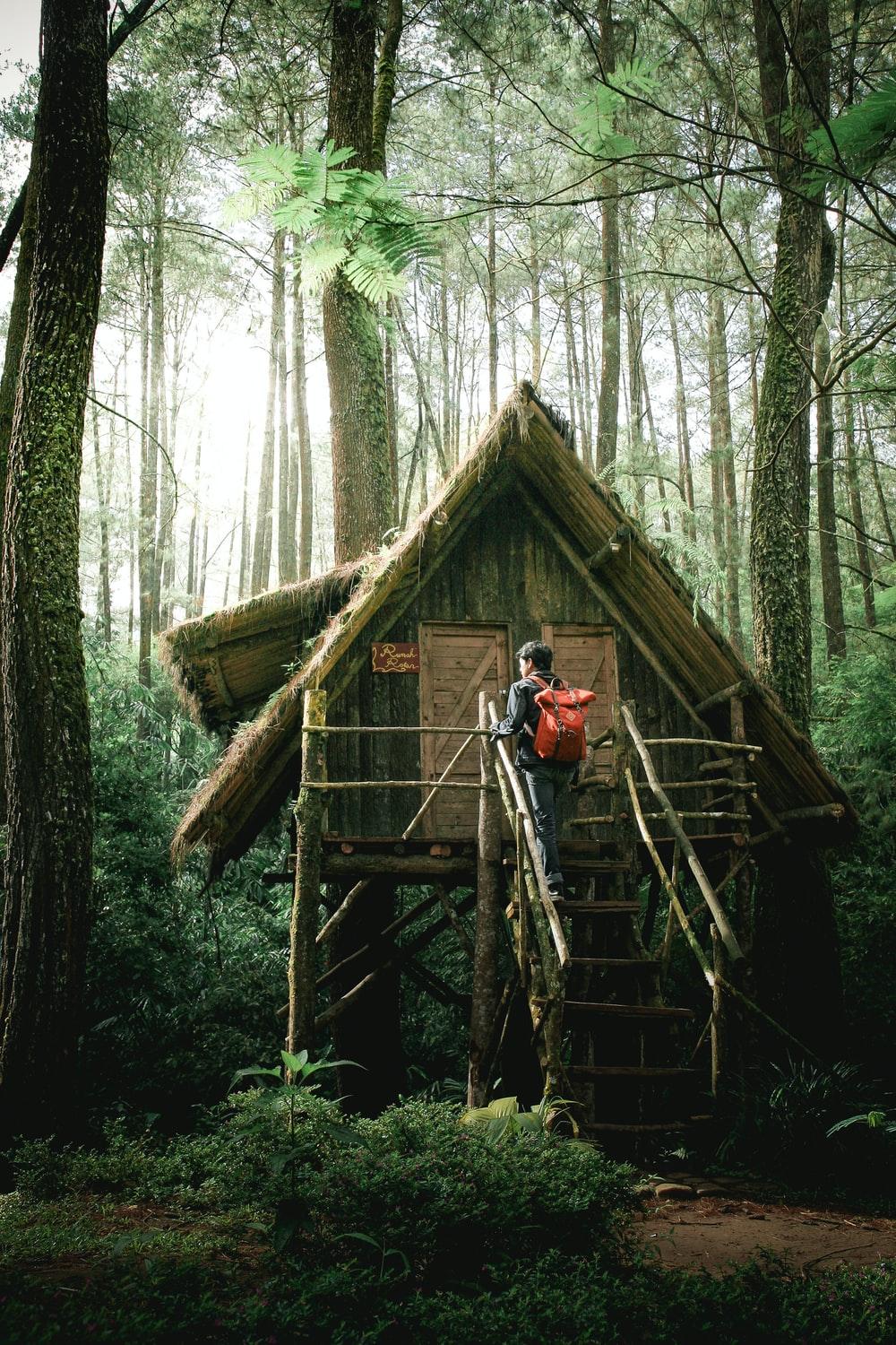 1000x1500 House In Forest Picture. Download Free Image