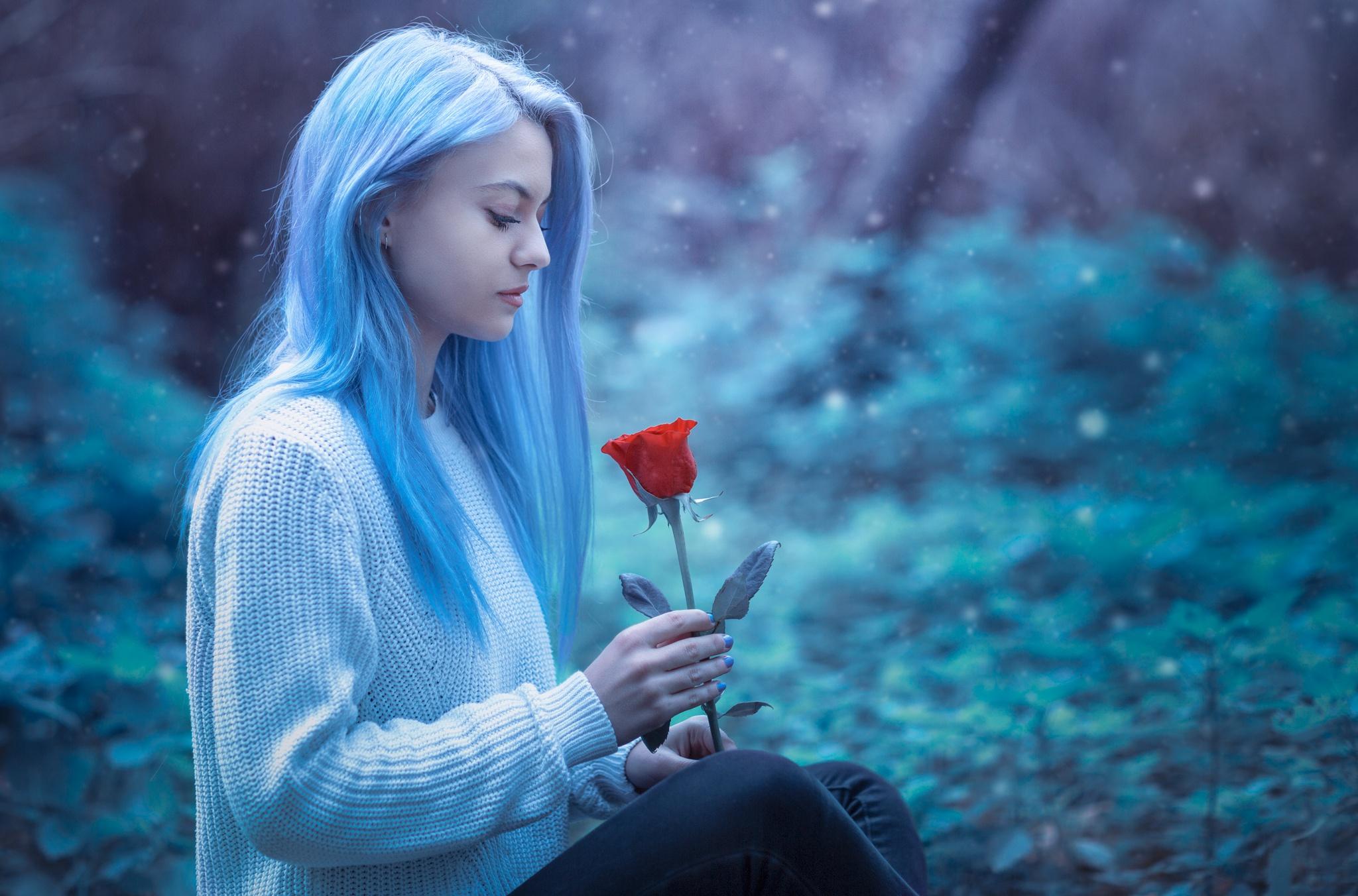 2048x1352 Woman Model Girl Mood Blue Hair Red Rose Wallpaper:2048x1352