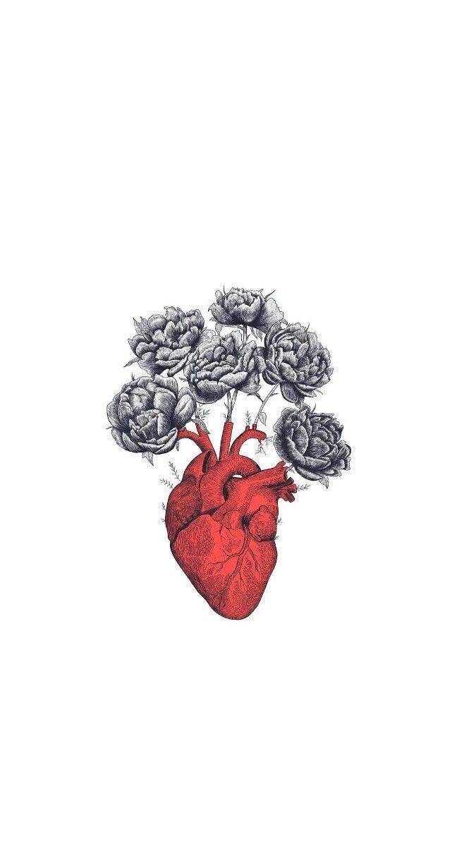 675x1200 Painting / Illustration. Medical wallpaper, iPhone wallpaper, Anatomy art