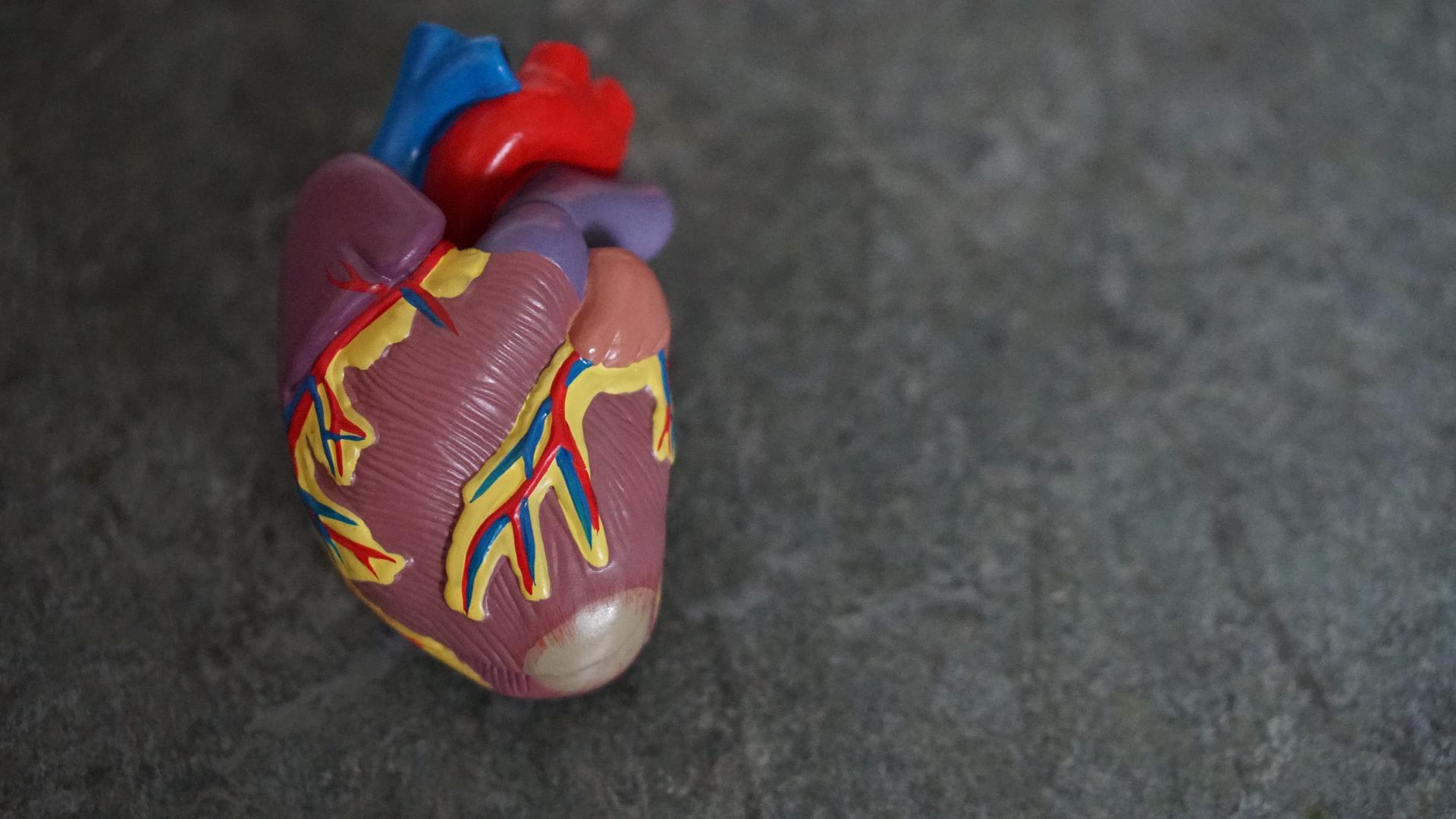 1920x1080 Heart HD Medical Art Wallpaper