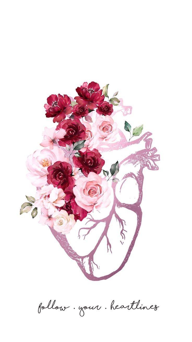 736x1308 Wallpaper. Flower phone wallpaper, Medical wallpaper, Wallpaper background