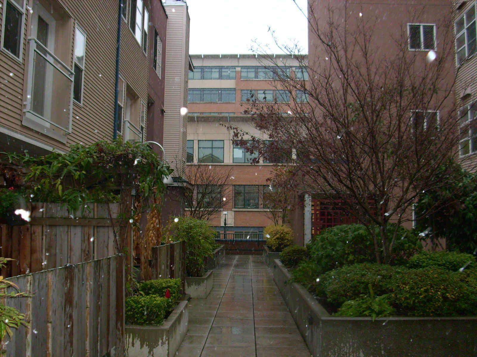 1600x1200 Seattle picture in the rainy season? Vancouver: rent, living