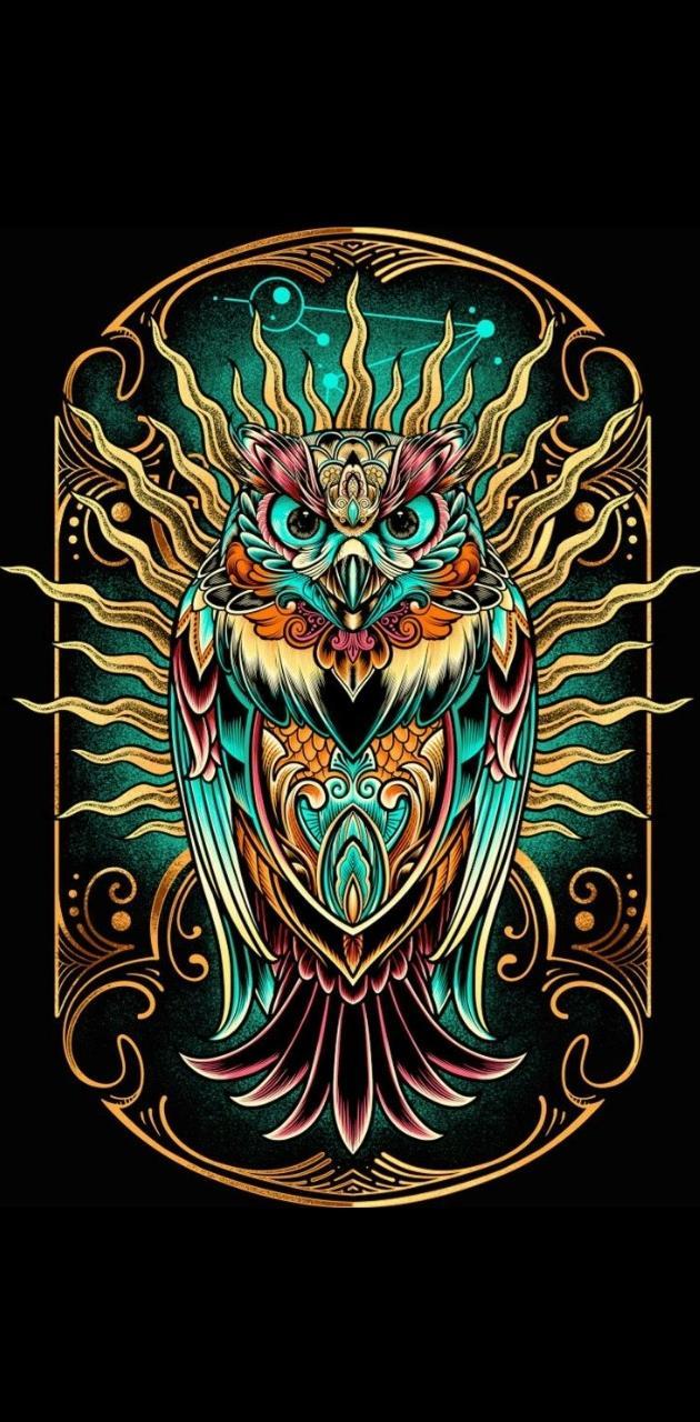 630x1280 Mighty Owl wallpaper