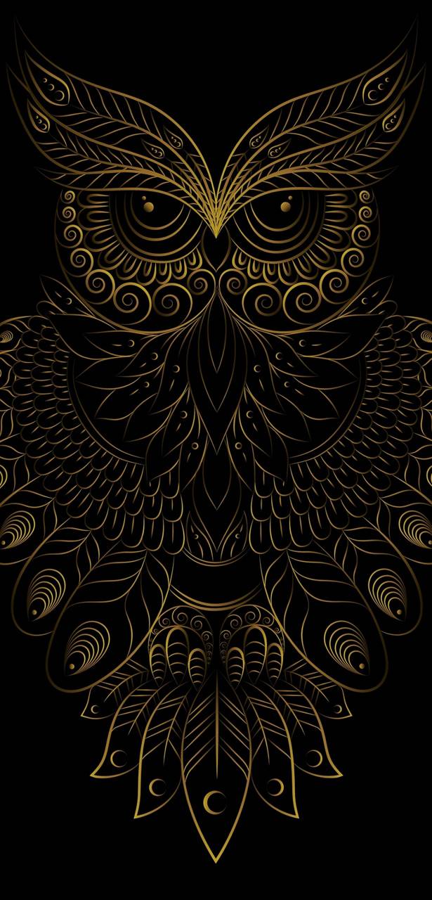 Owl Art Wallpapers Top Free Owl Art Backgrounds Wallpaperaccess