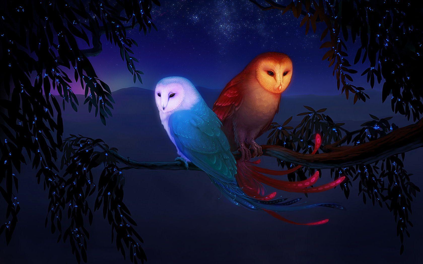1680x1050 Book Inspirations. Owl wallpaper, Owl, Owl art