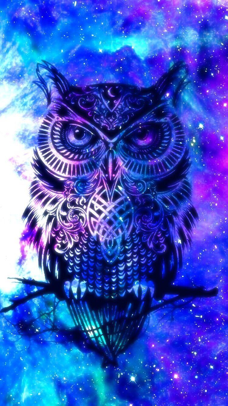 750x1334 The Owl's Path