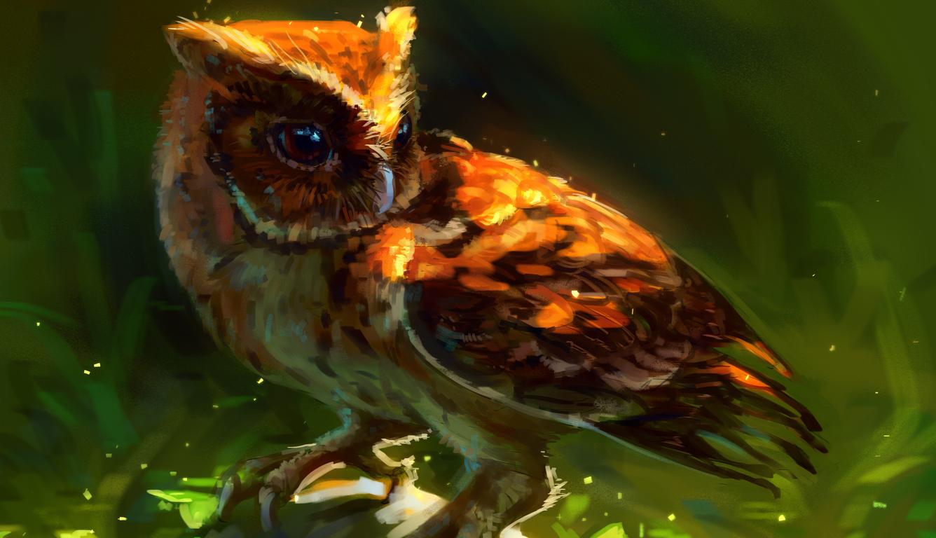1336x768 Owl Arts Laptop HD HD 4k Wallpaper, Image, Background, Photo and Picture