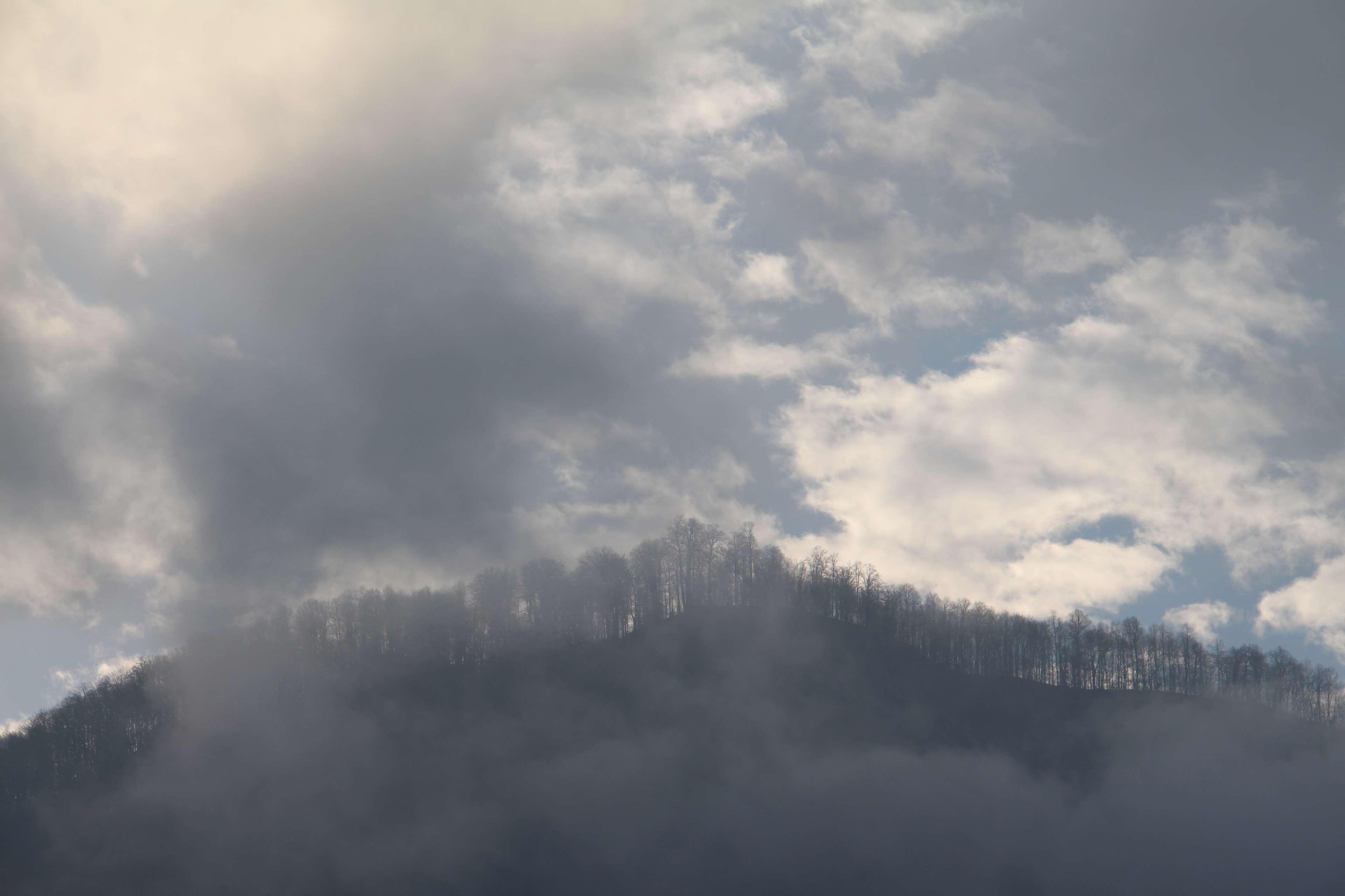 3840x2560 mazandaran iran 4k wallpaper