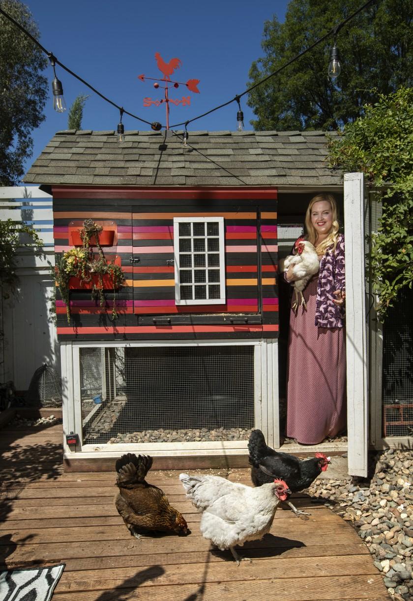 840x1220 Designer chicken coops: From chandeliers to AC, how some L.A. owners pamper their pets Angeles Times