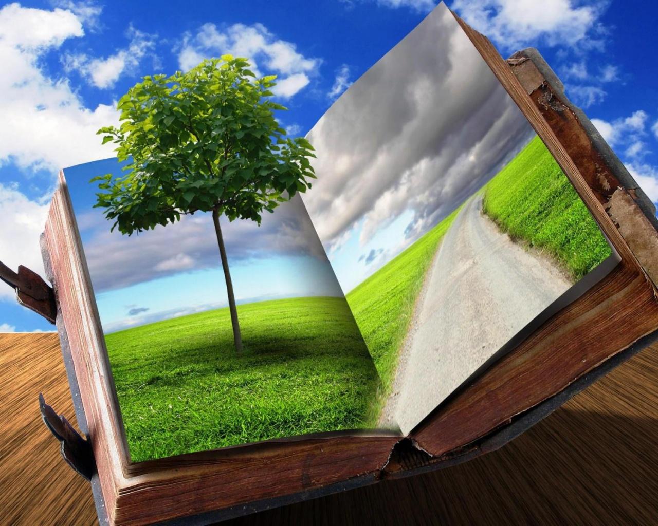 1280x1024 Young Tree Old Book desktop PC and Mac wallpaper